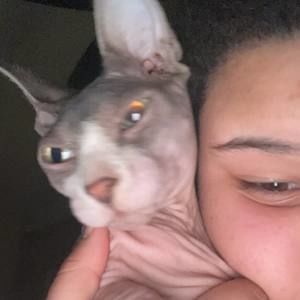 Meet your Posher, Brielle